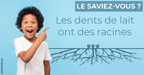 https://selarl-dr-wenger-daniel.chirurgiens-dentistes.fr/Les dents de lait 2