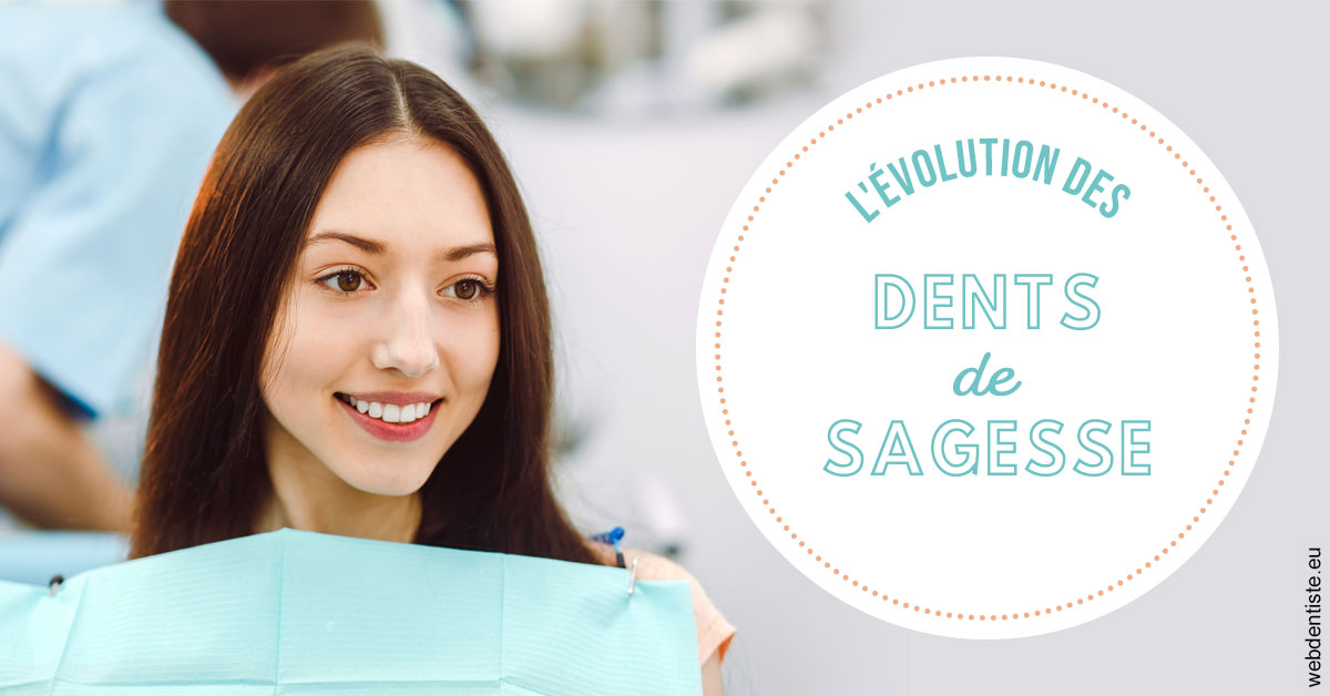 https://selarl-dr-wenger-daniel.chirurgiens-dentistes.fr/Evolution dents de sagesse 2